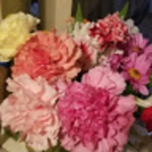 Meet your Posher, Litta